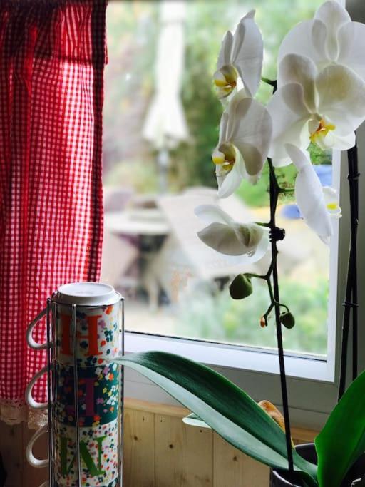 Cosy Private Cabin With Parking In Good Location Oxford Esterno foto
